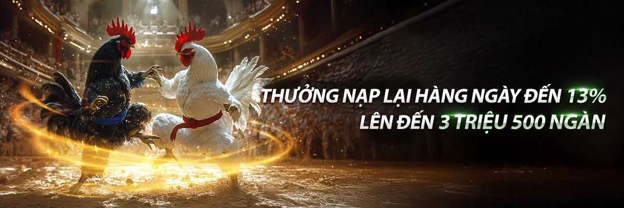 Gà chọi trong sàn đấu, thể hiện chiến lược cá cược đá gà win198